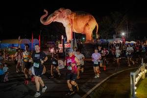 BIB: 
                            <button type="button" onclick="openModal(26552300)" class="btn btn-primary btn-sm float-right btn-popup" data-toggle="modal" data-target=".modal-high-quality">
                        <i class="fas fa-shopping-cart"></i> Add to Cart
                    </button>
                                            <button type="button" onclick="isThisMe(26552300, true)" class="btn btn-success btn-sm float-right btn-popup btn-isme hidden" data-toggle="tooltip" data-placement="bottom" title="นี่คือรูปของคุณใช่ไหม คลิกที่นี่เพื่อเอาเข้าอัลบั้ม">
                        <i class="fas fa-plus"></i> Add to album
                    </button>
                    <button type="button" onclick="isThisMe(26552300, false)" class="btn btn-warning btn-sm float-right btn-popup btn-isnotme hidden">
                        <i class="fas fa-ban"></i> Remove from album
                    </button>